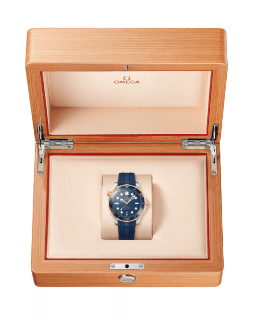 OMEGA SEAMASTER DIVER 300M - Imagen 4