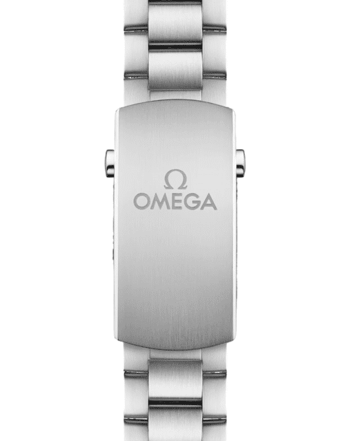 OMEGA SEAMASTER PLANET OCEAN 600M - Imagen 3