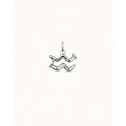 CHARM UNO DE 50 SIGNO ACUARIO